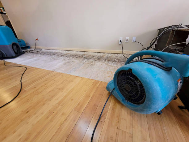 Professional Structural Drying technician working in Lucas, TX